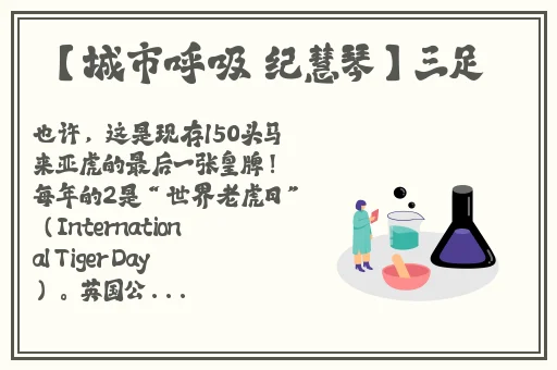 **动漫在线看